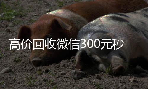 高价回收微信3024小时高价回收vx0元秒结（高价24小时回收微信）